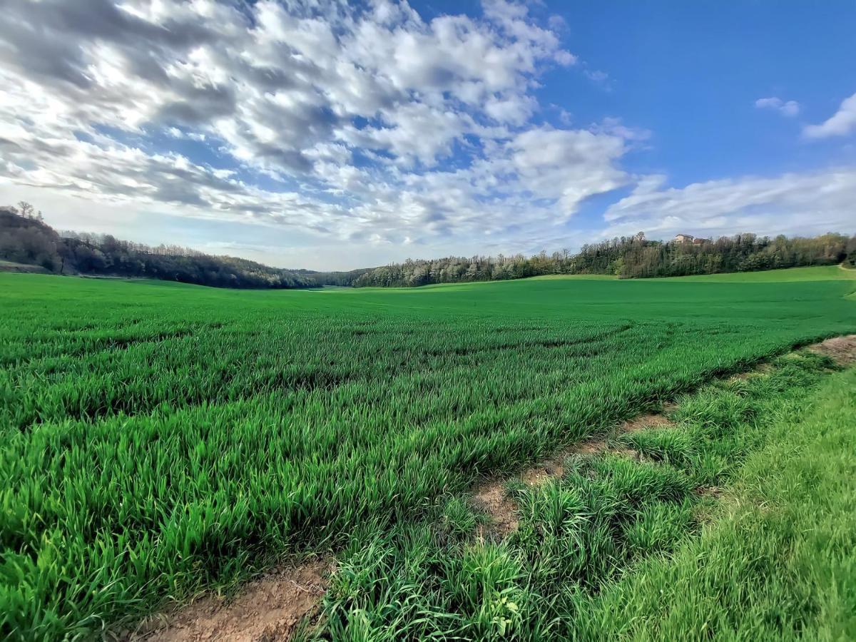 Villetta Rosso Rubino Vignale Monferrato Экстерьер фото